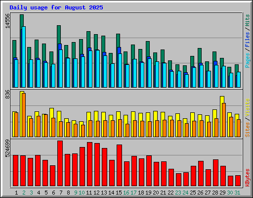 Daily usage for August 2025
