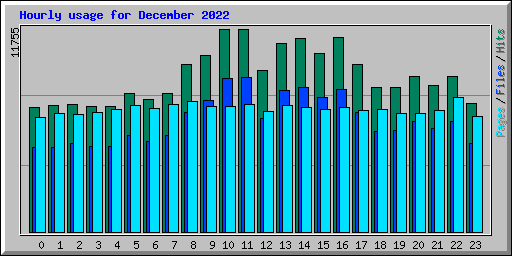Hourly usage for December 2022