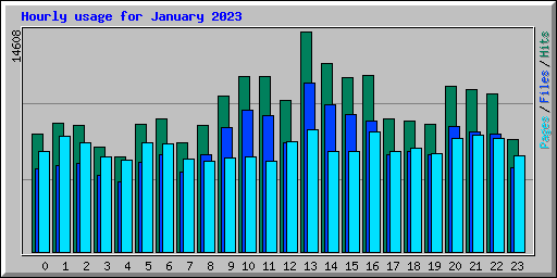 Hourly usage for January 2023