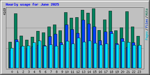 Hourly usage for June 2025