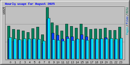 Hourly usage for August 2025