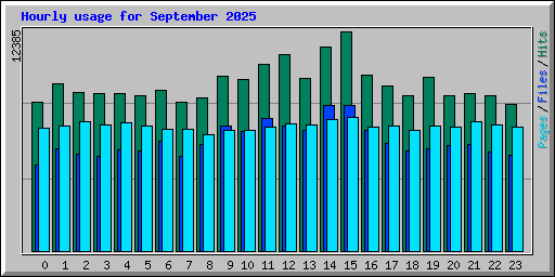 Hourly usage for September 2025
