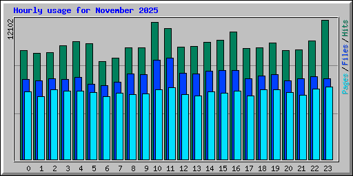 Hourly usage for November 2025